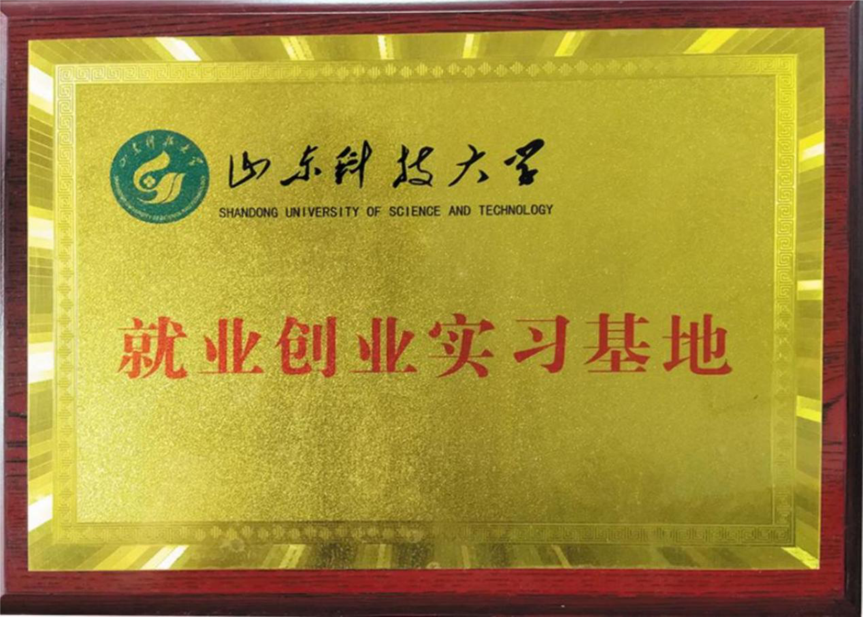 山東科技大學(xué)就業(yè)創(chuàng)業(yè)實(shí)習(xí)基地